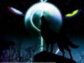 /album/fotogaleria/dogi-wolf-jpg/